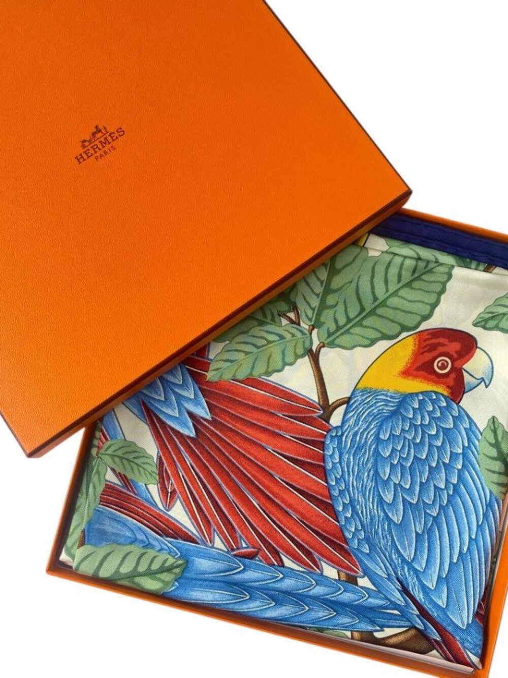 Hermes Carre 90 Les Perroquets